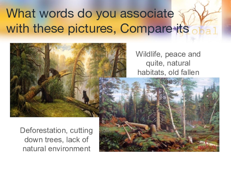 What words do you associate with these pictures, Сompare itsDeforestation, cutting down trees, lack of natural environmentWildlife,