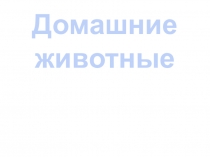 Презентация к уроку Домашние животные 1 класс программа Школа 2100