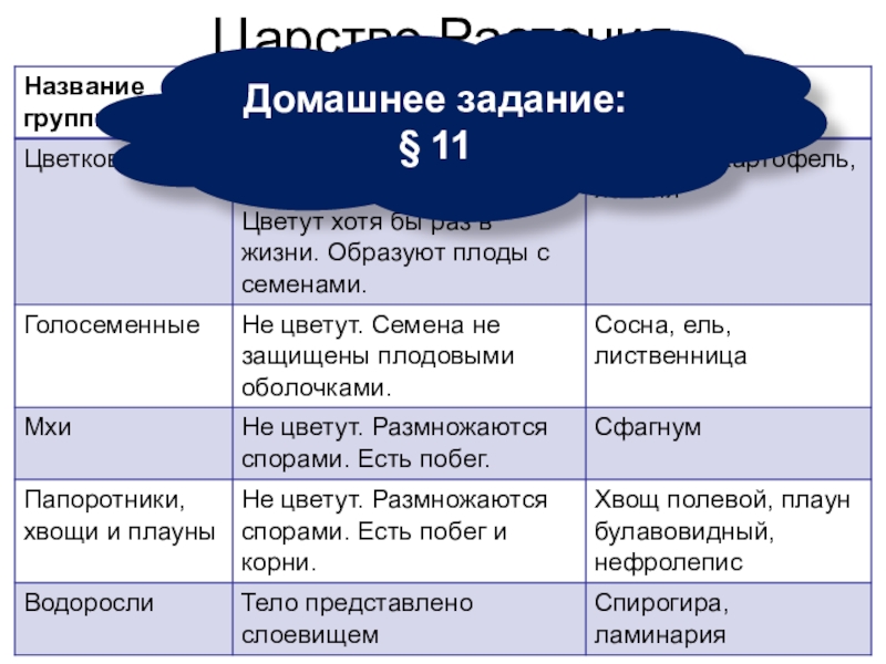 Презентация 5 класс царство растений