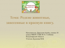 Презентация Редкие животные, занесённые в Красную книгу