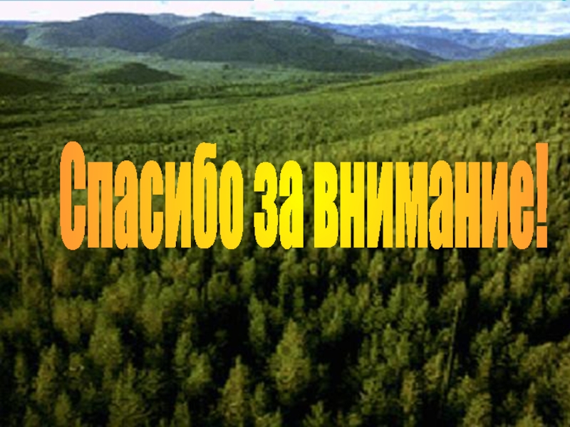 Слайд спасибо за внимание для презентации по географии