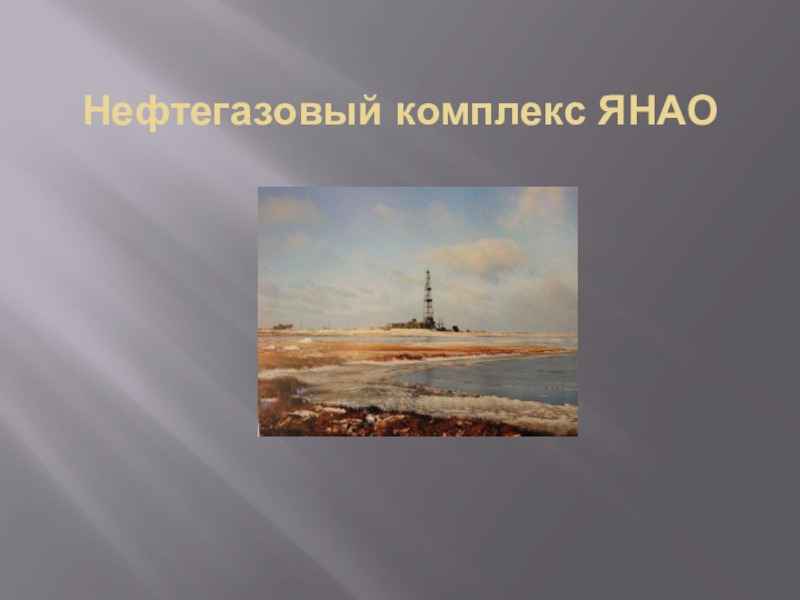 Реферат: Нефтегазовый комплекс России