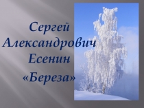 Презентация по русскому языку Проверяемые безударные гласные в корне
