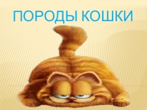 Куклачев и его кошки