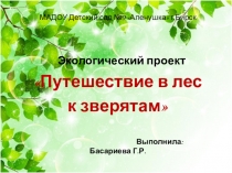 Презентация экологического проекта Путешествие в лес