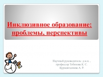 Инклюзивное образование: проблемы, перспективы