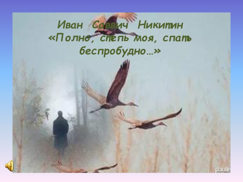 В описание картины жизни степной природы вплетаются эпизоды со встречными на пути людьми сонной