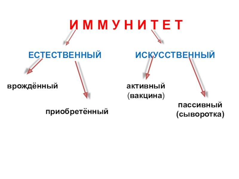 Иммунитет егэ презентация