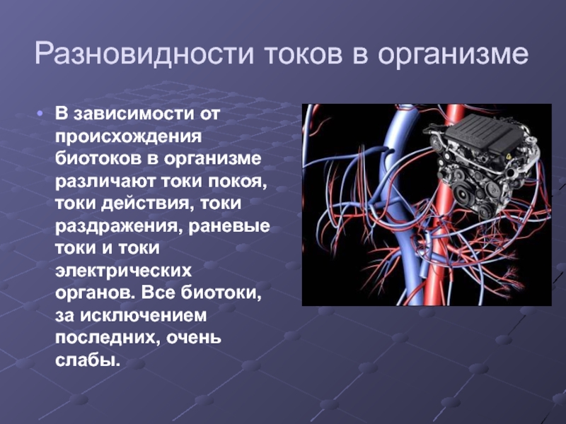 Тело тока. Биотоки в организме человека. Причины тока в организме. Биотоки физиология.