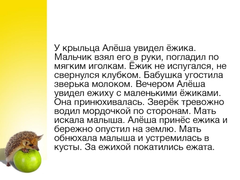 Во вторник еж принес на 3. У крыльца Алеша увидел. У крыльца Алеша увидел ежика мальчик взял. Заботливая мама текст про ежика. Мальчик взял ежика в руки погладил по мягким иголкам.