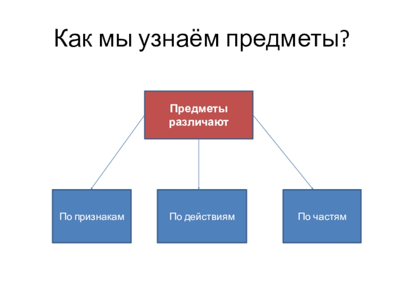 Как понять предметы. Как мы узнаем предметы. Как понять предмет. Как мы узнаем предметы по признакам. Как начать понимать предмет.