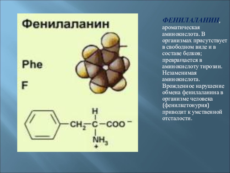 Аминокислота тирозин презентация