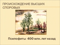 Презентация по биологии на тему Происхождение высших споровых