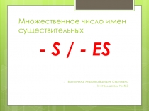 Множественное число имен существительных для Spotlight 2