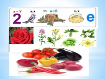 Тема урока Систематика отдела Покрытосеменные. Семейства класса Двудольные растения.(7 класс)