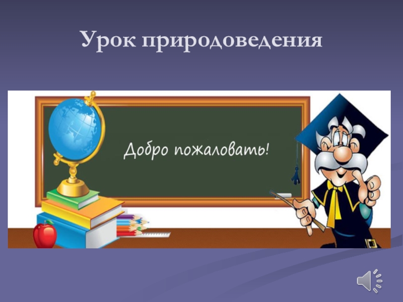 Викторина по естествознанию 6 класс презентация