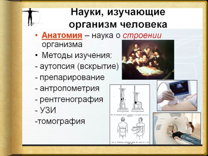 Науки о человеке и их методы презентация 8 класс