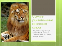 Окружающий мир, презентация на тему : Самые удивительные животные мира