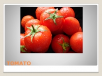 Презентация по английскому языку на тему How many / How much