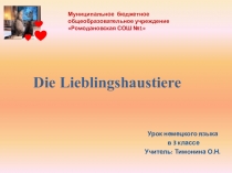 Презентация по немецкому языку на тему Домашние животные (3 класс)