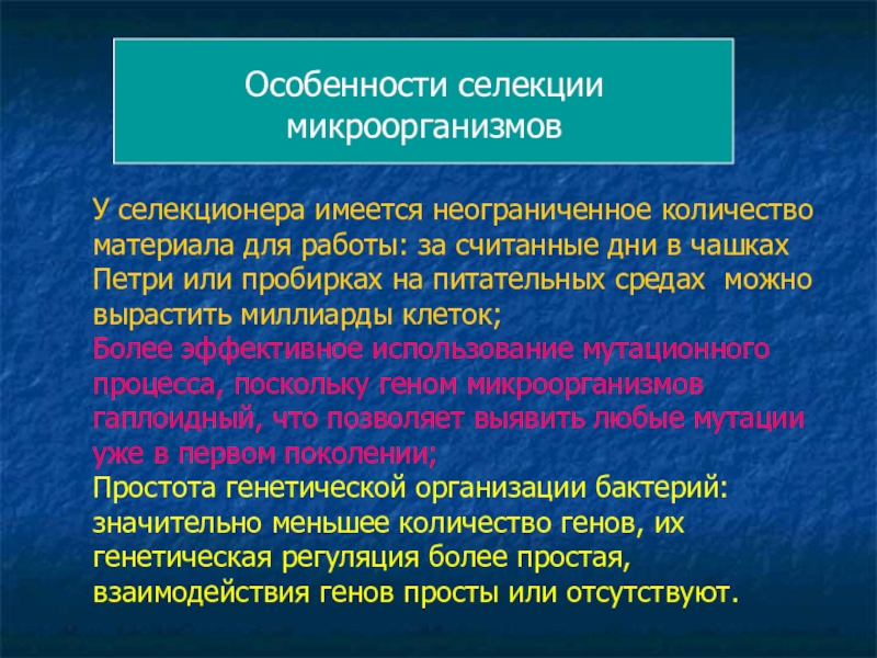 Селекция микроорганизмов проект