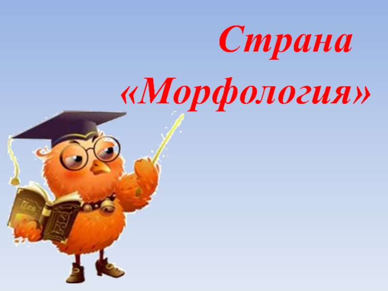 Схема на тему морфология