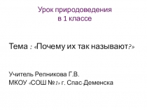 Презентация по окружающему миру на тему: Почему их так назвали?