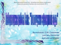 Лабораторная работа на тему: Поглощение сфагнумом воды