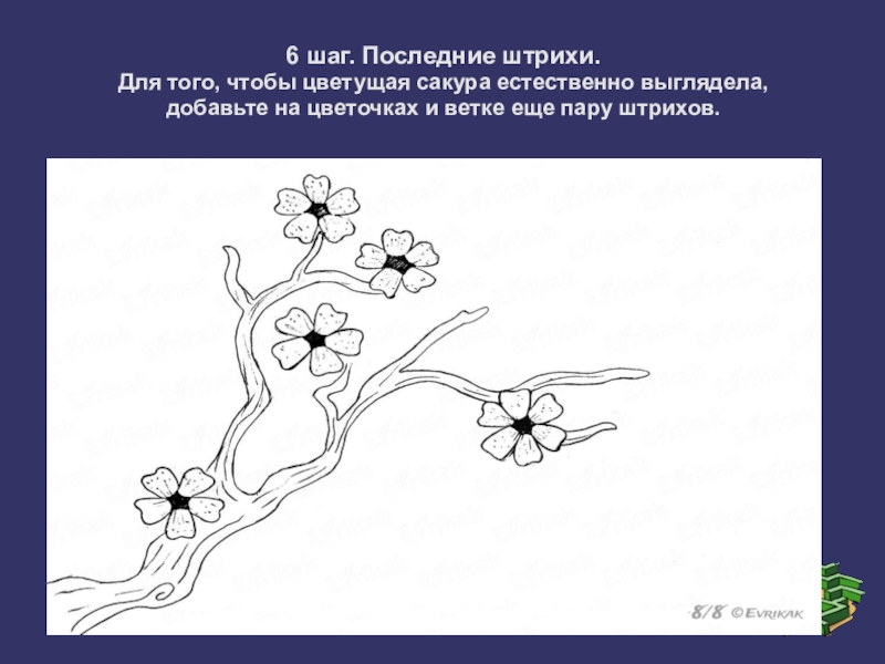 Поэтапное рисование сакуры 4 класс презентация