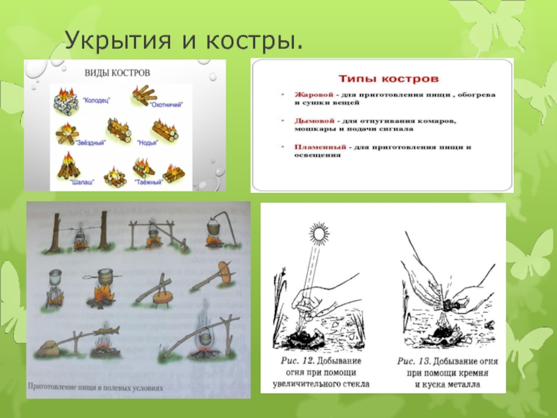 Презентация на тему выживание в лесу