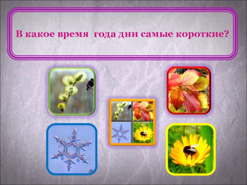 Какое время года лучше книга. «Какое время года?», цель. Какое время года самое короткое. В какое время года прилетают.