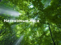 Презентация к предмету Охрана и защита леса