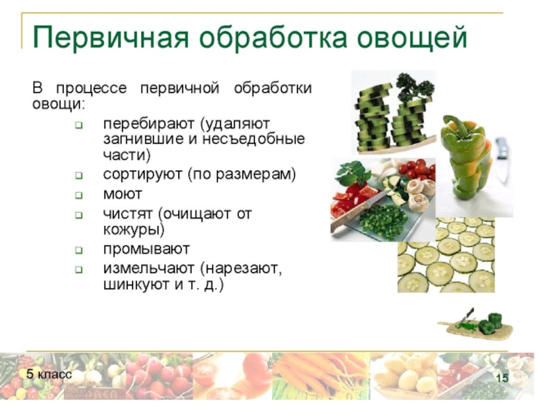 Обработка продуктов овощи. Технологическая схема первичной обработки овощей. Первичная обработка плодовых овощей схема. Последовательность этапов первичной обработки овощей. Правильная технологическая последовательность обработки овощей.