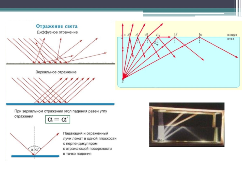 Световые явления физика ответы. Световые явления физика 8 класс чертеж. Оптика угол отражения. Отражение света физика формулы. Физика 8 класс тема световые явления.