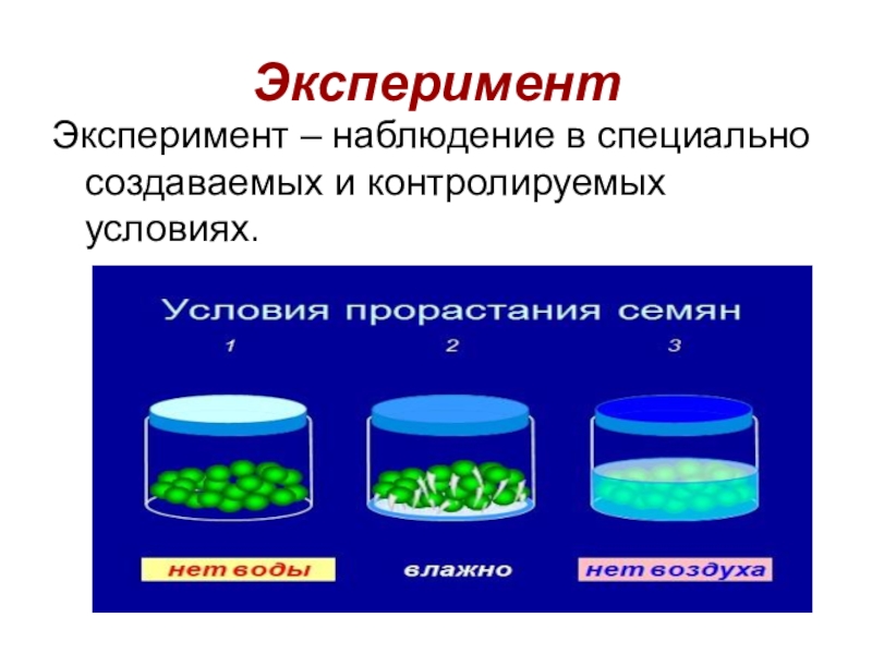 Методы исследования в проекте по биологии