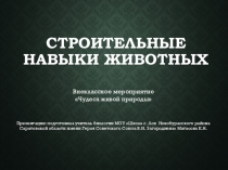 Строительные навыки животных