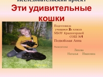 Эти удивительные кошки 2 класс