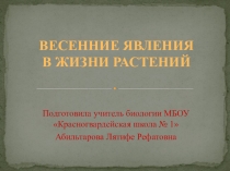 Презентация к виртуальной экскурсии