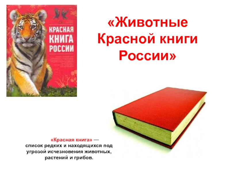 Животные россии красная книга презентация