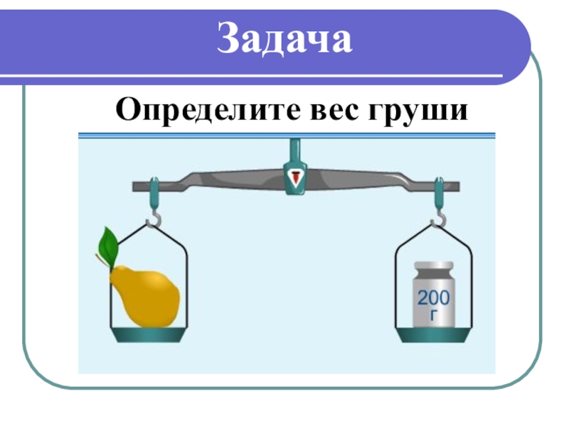 Физика тема вес. Задача определите вес груши. Задача. Определите вес груши. 200. Определите вес груши 200г. Вес тела вес груши.