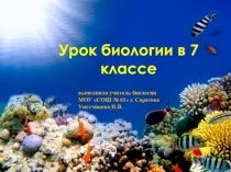 Презентация по биологии на тему: Промысловые рыбы