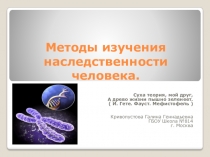 Презентация к уроку биологии на тему Методы изучения наследственности человека