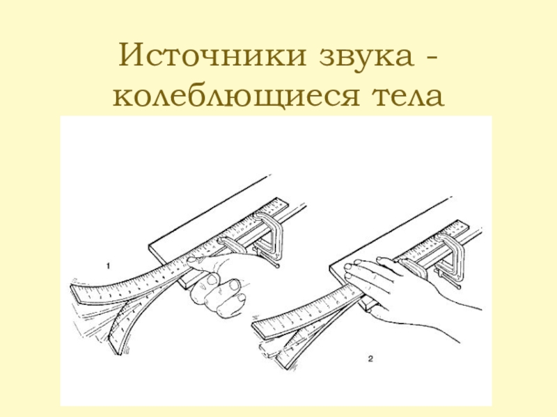 2 источника звука. Источник звука - колеблющееся тело. Звуковые колебания опыт с линейкой. Источники разных звуков. Опыт с линейкой.