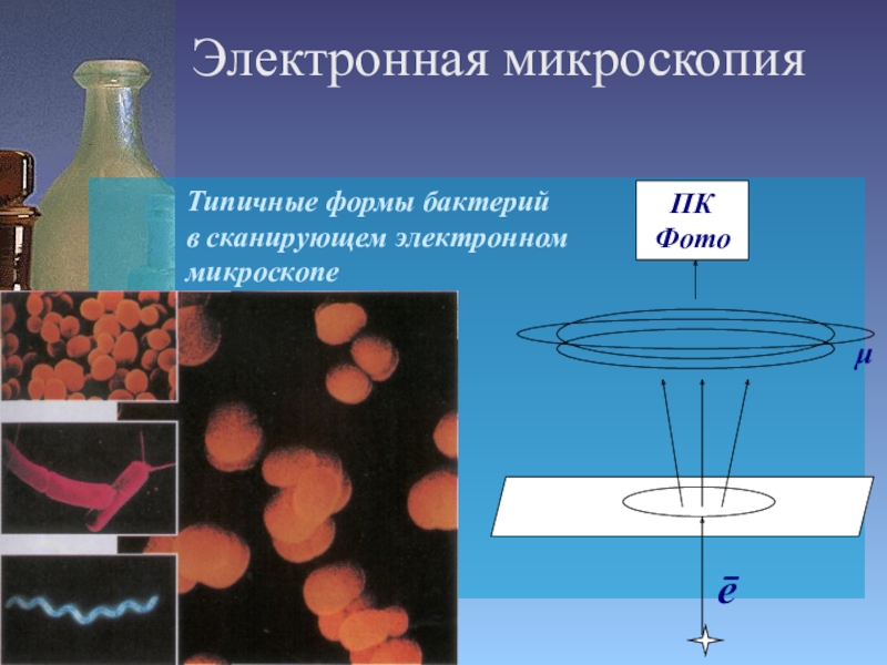 Виды микроскопии презентация