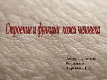 Презентация Строение и функции кожи человека