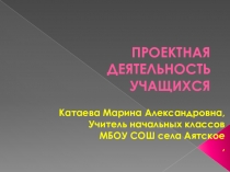 Презентация Проектная деятельность младших школьников