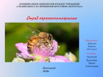 Презентация по биологии на тему Насекомые Отряд Перепончатокрылые (8 класс)
