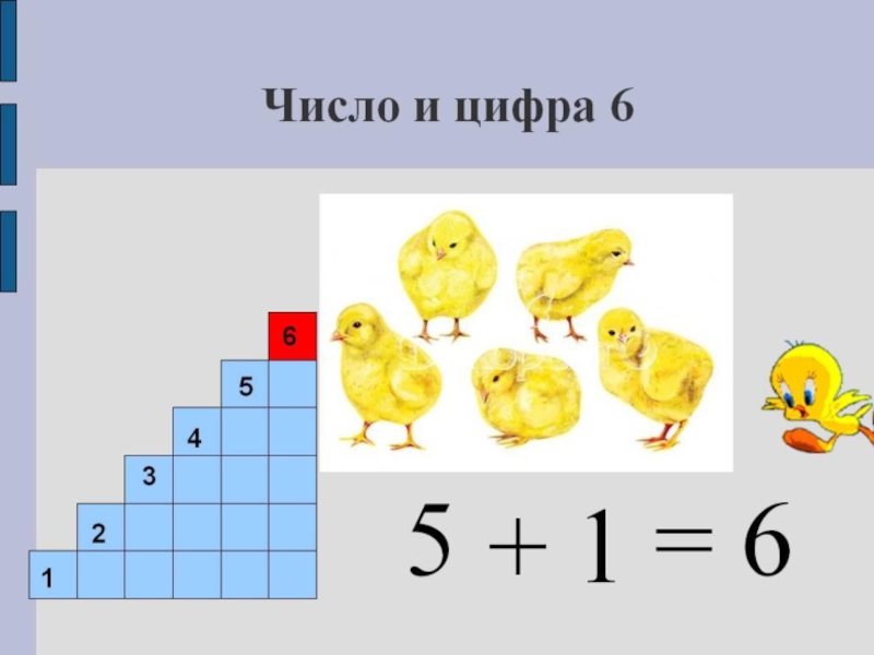 Цифра 6 презентация для дошкольников