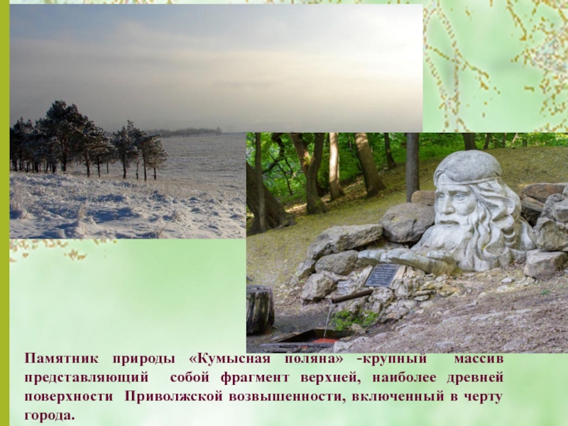 Саратовские памятники природы