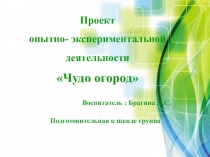 Проект опытно- экспериментальной деятельности Чудо огород